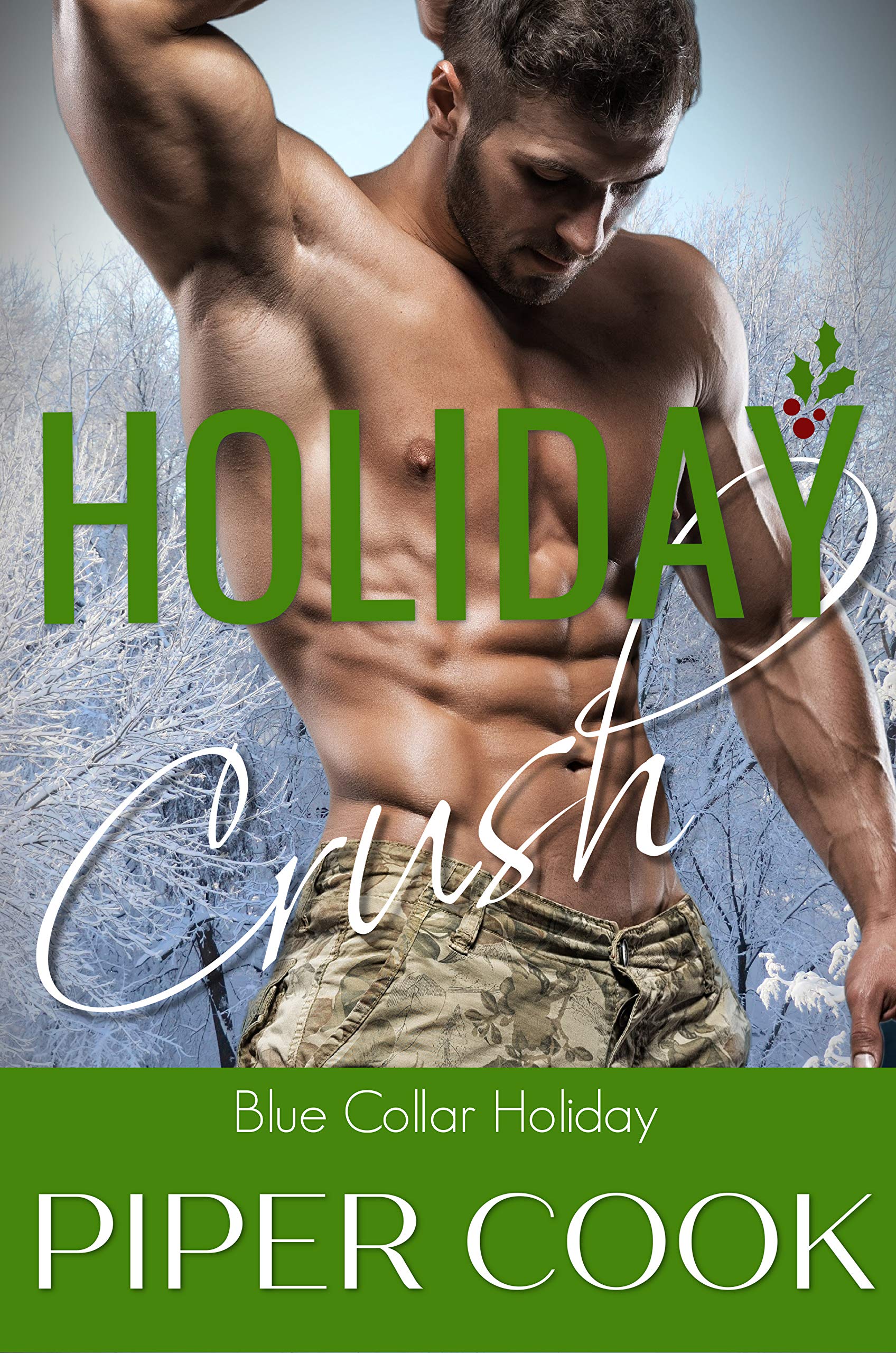 Holiday Crush book cover