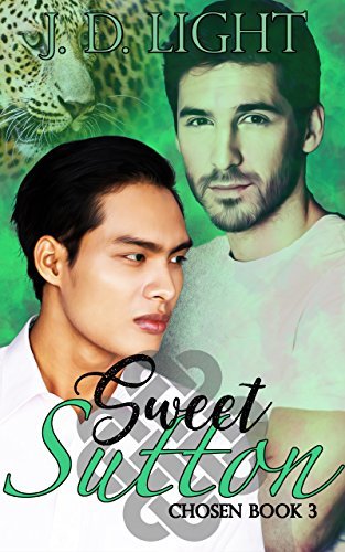 Chosen book cover 3
