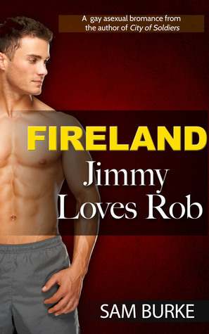 Fireland book cover