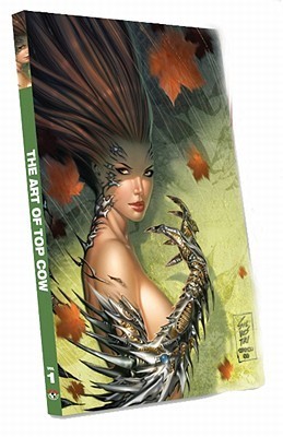 The Art of Top Cow book cover