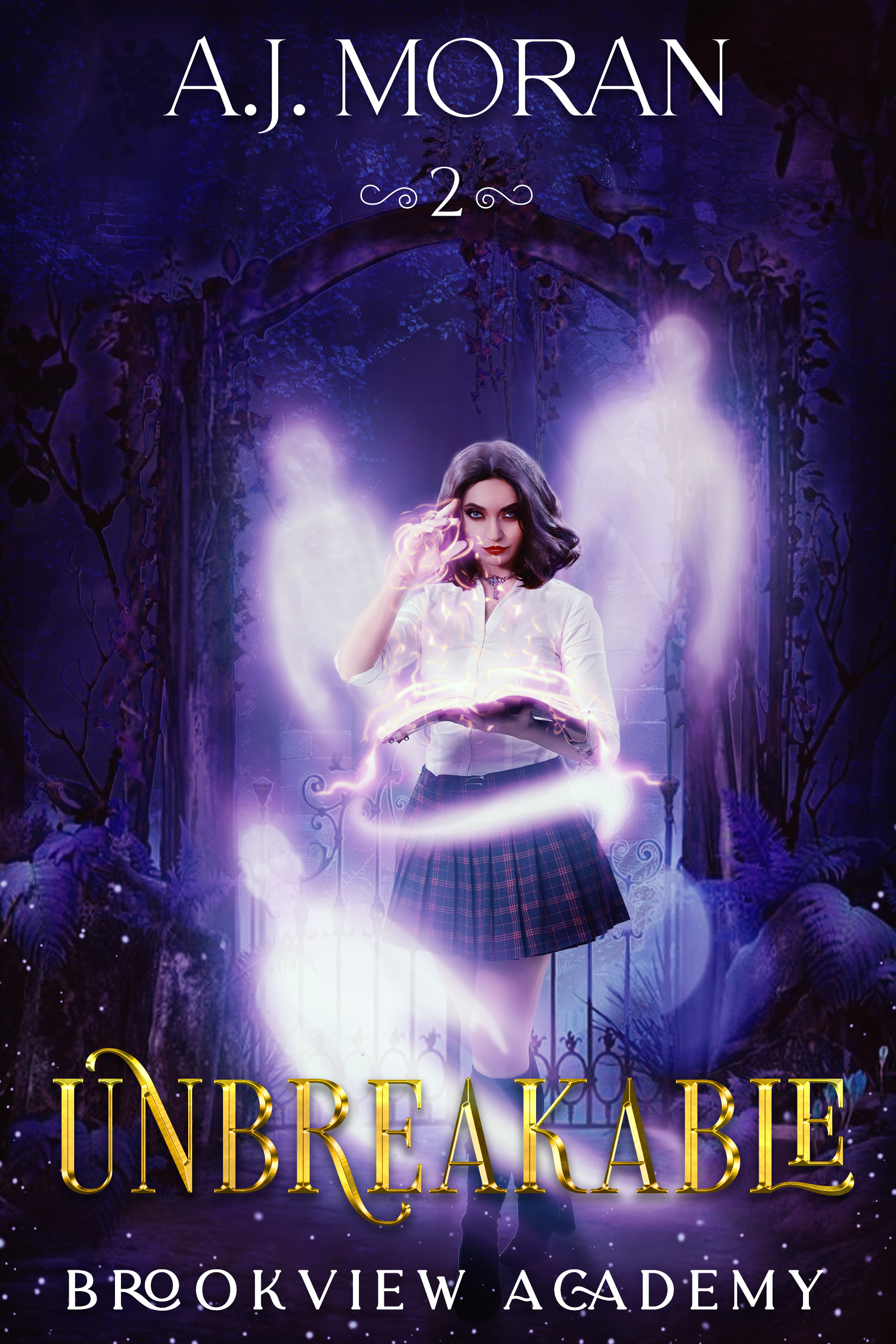 Brookview Academy book cover 1
