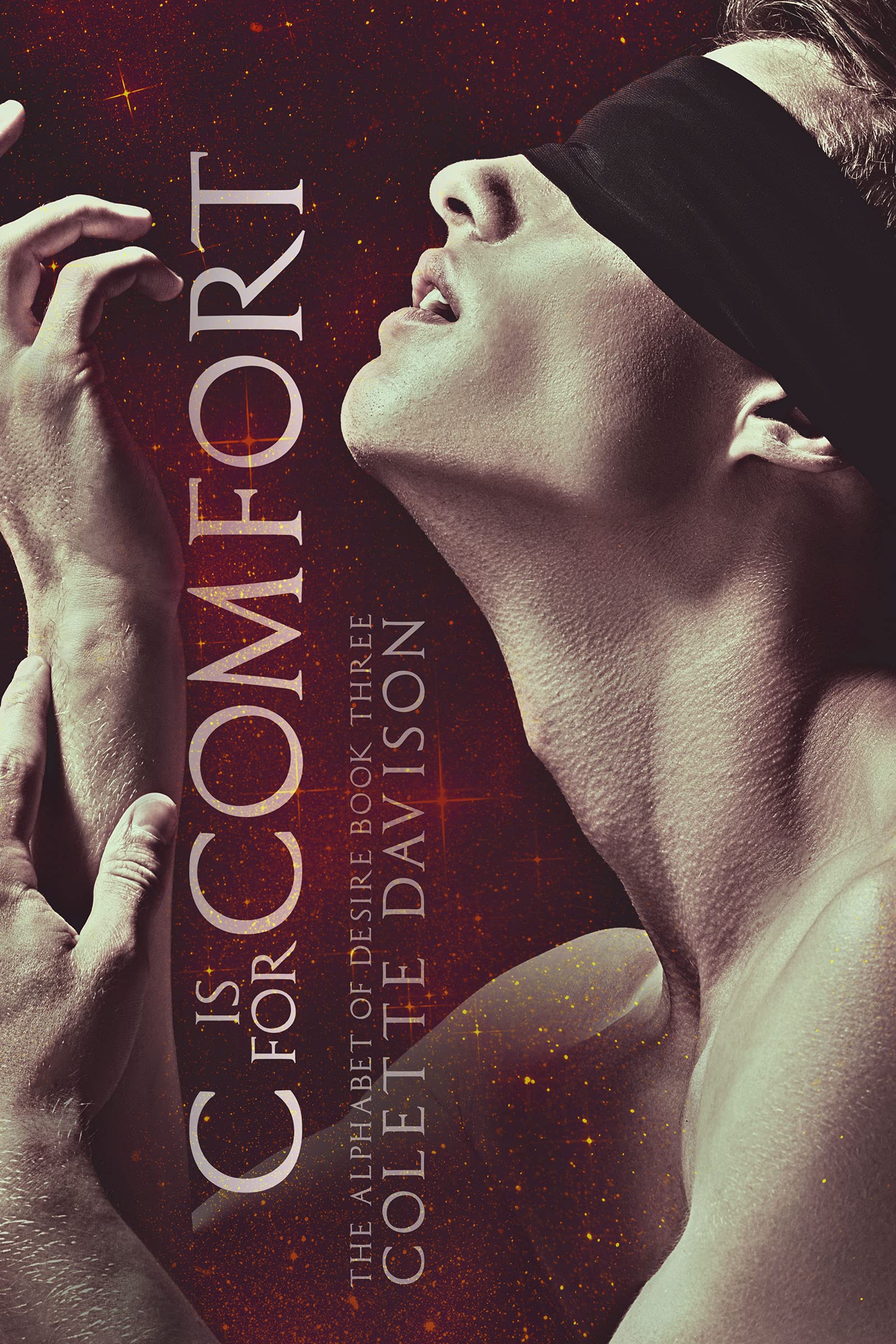 The Alphabet of Desire book cover 3