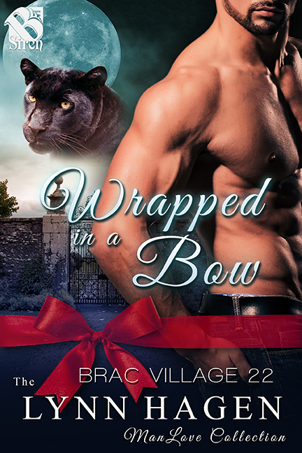 Wrapped in a Bow book cover