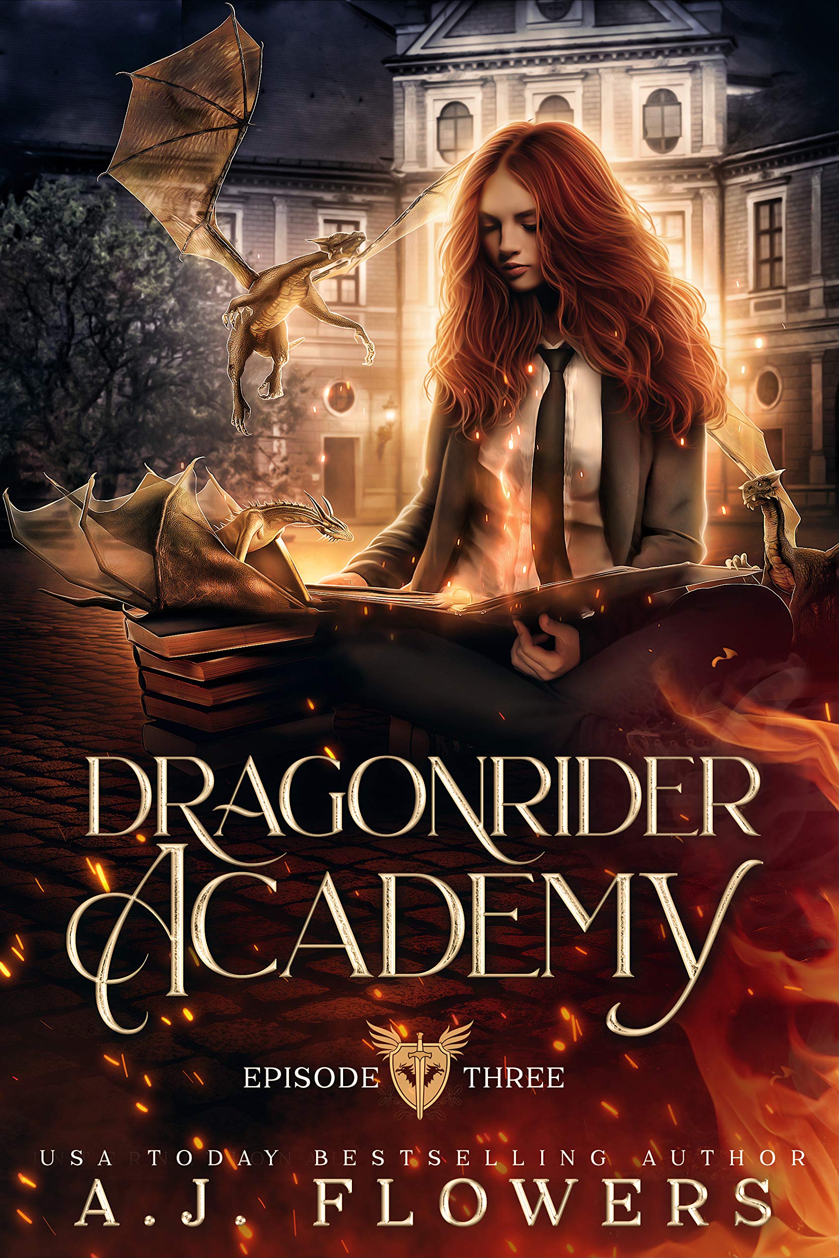 Dragonrider Academy book cover 3