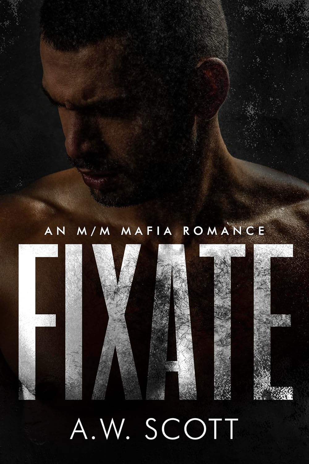 Fixate book cover
