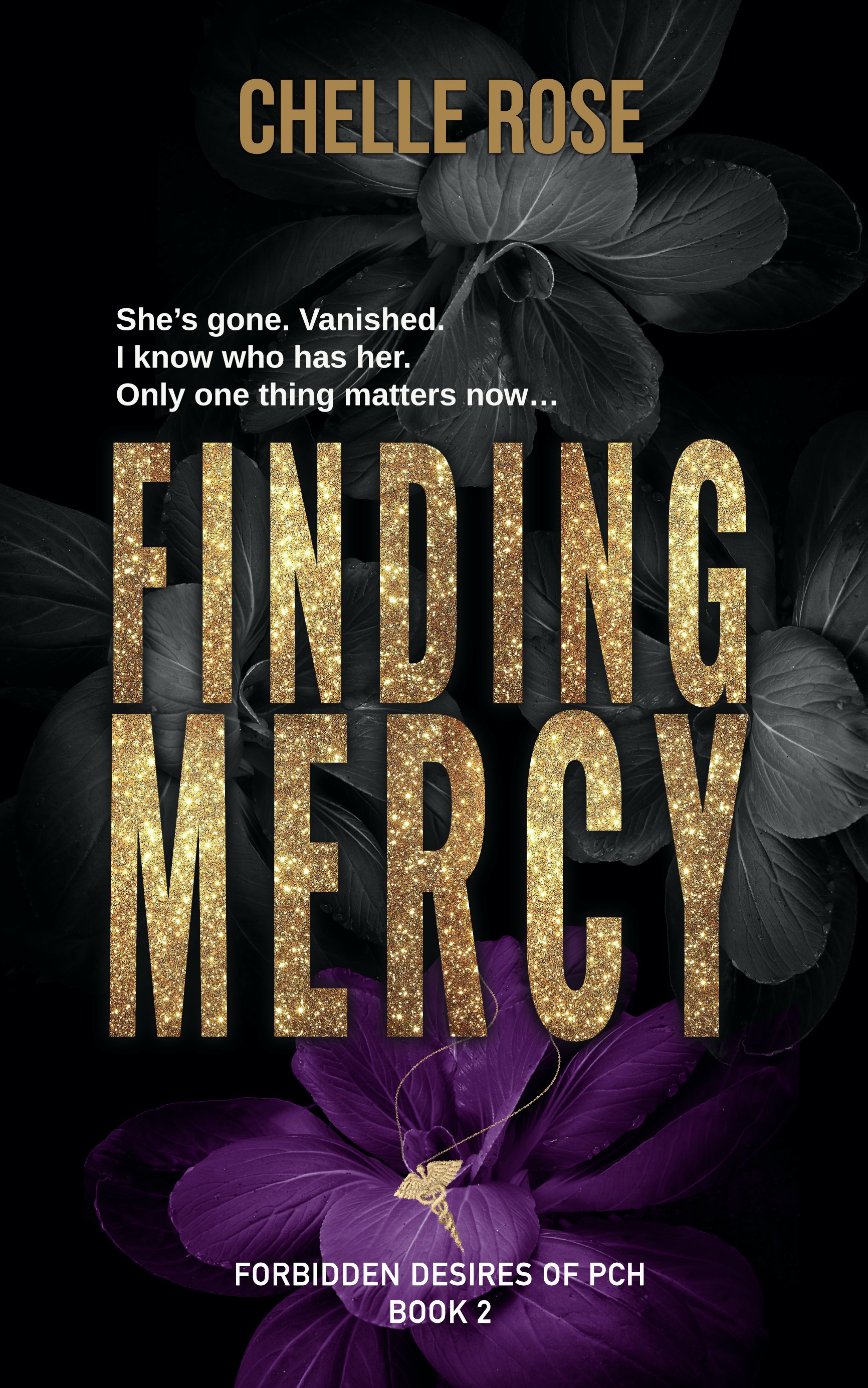 Finding Mercy book cover