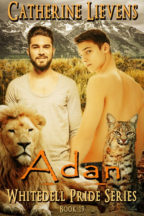 Adan book cover