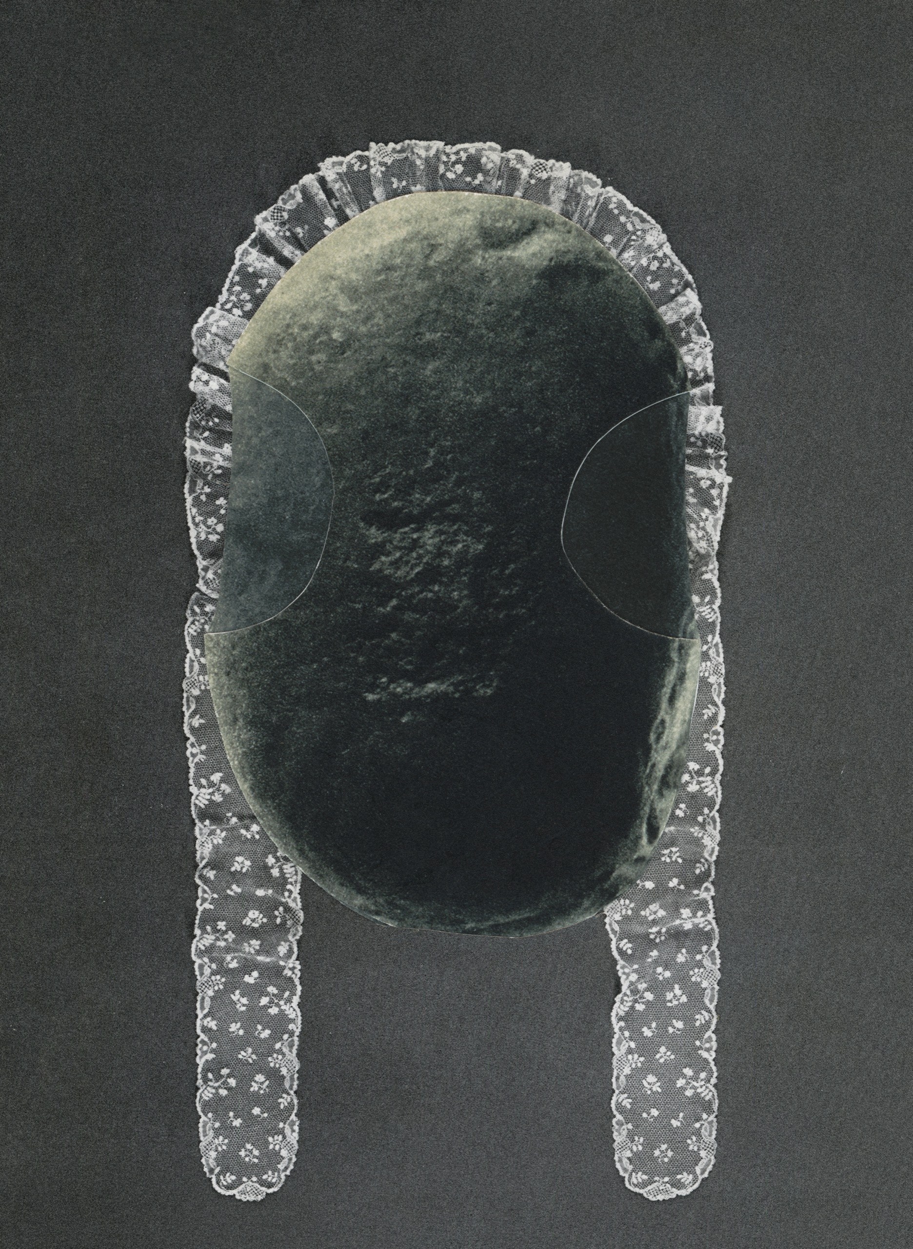 The Stone book cover