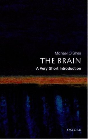 The Brain book cover