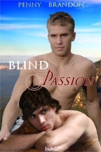 Blind Passion book cover