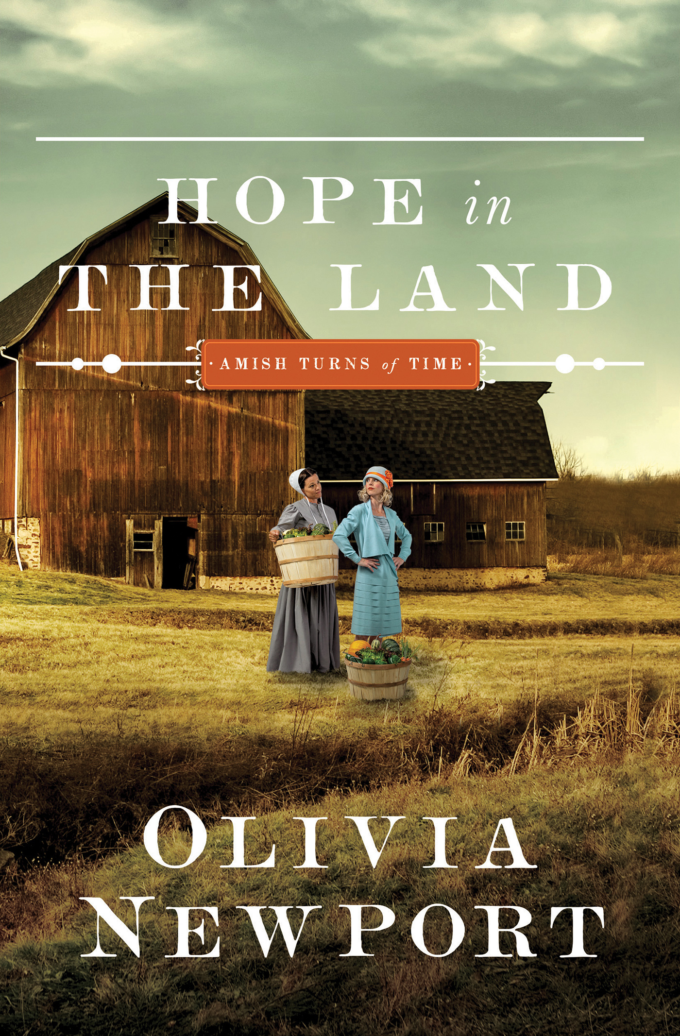 Hope in the Land book cover
