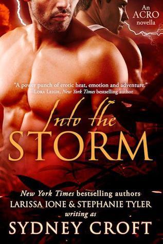 Into the Storm book cover