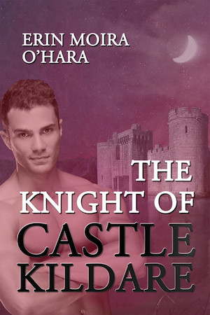 The Knight of Castle Kildare book cover