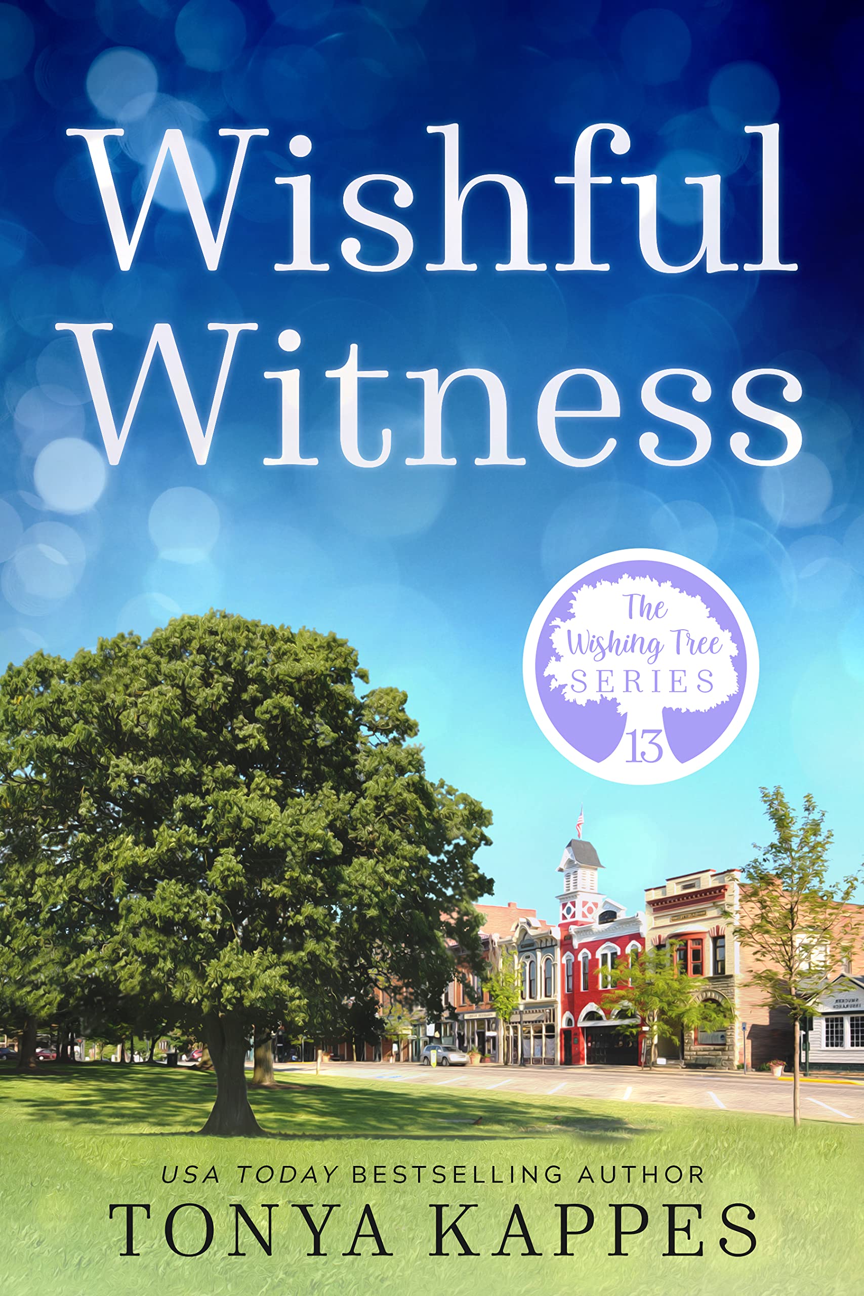 Wishful Witness book cover