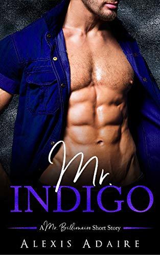 Mr. Indigo book cover