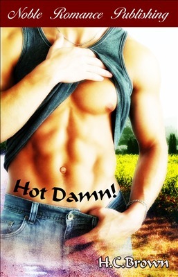 Hot Damn! book cover