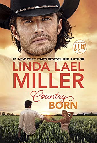 Painted Pony Creek book cover 3
