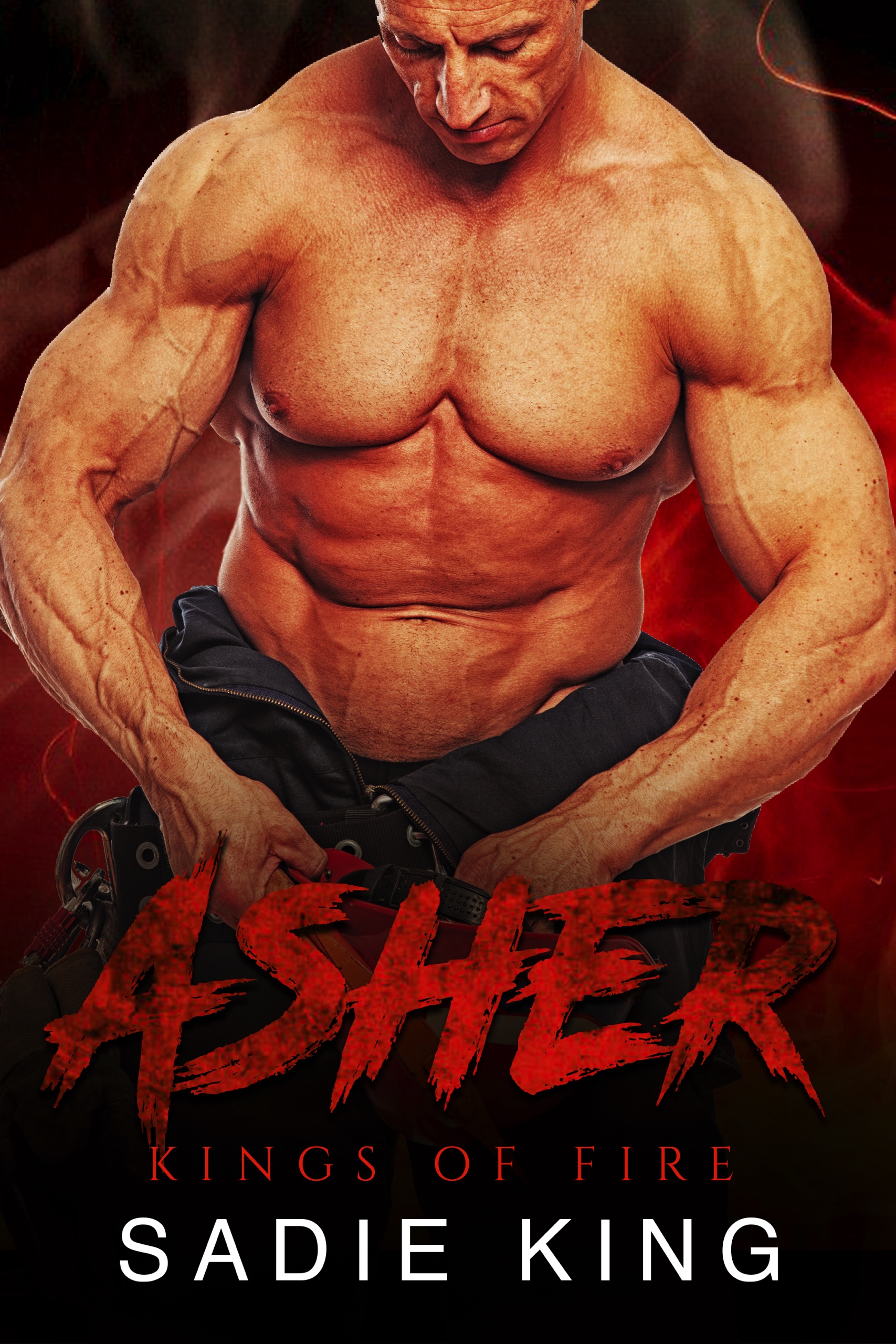 Kings of Fire book cover 3