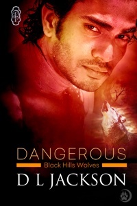 Dangerous book cover