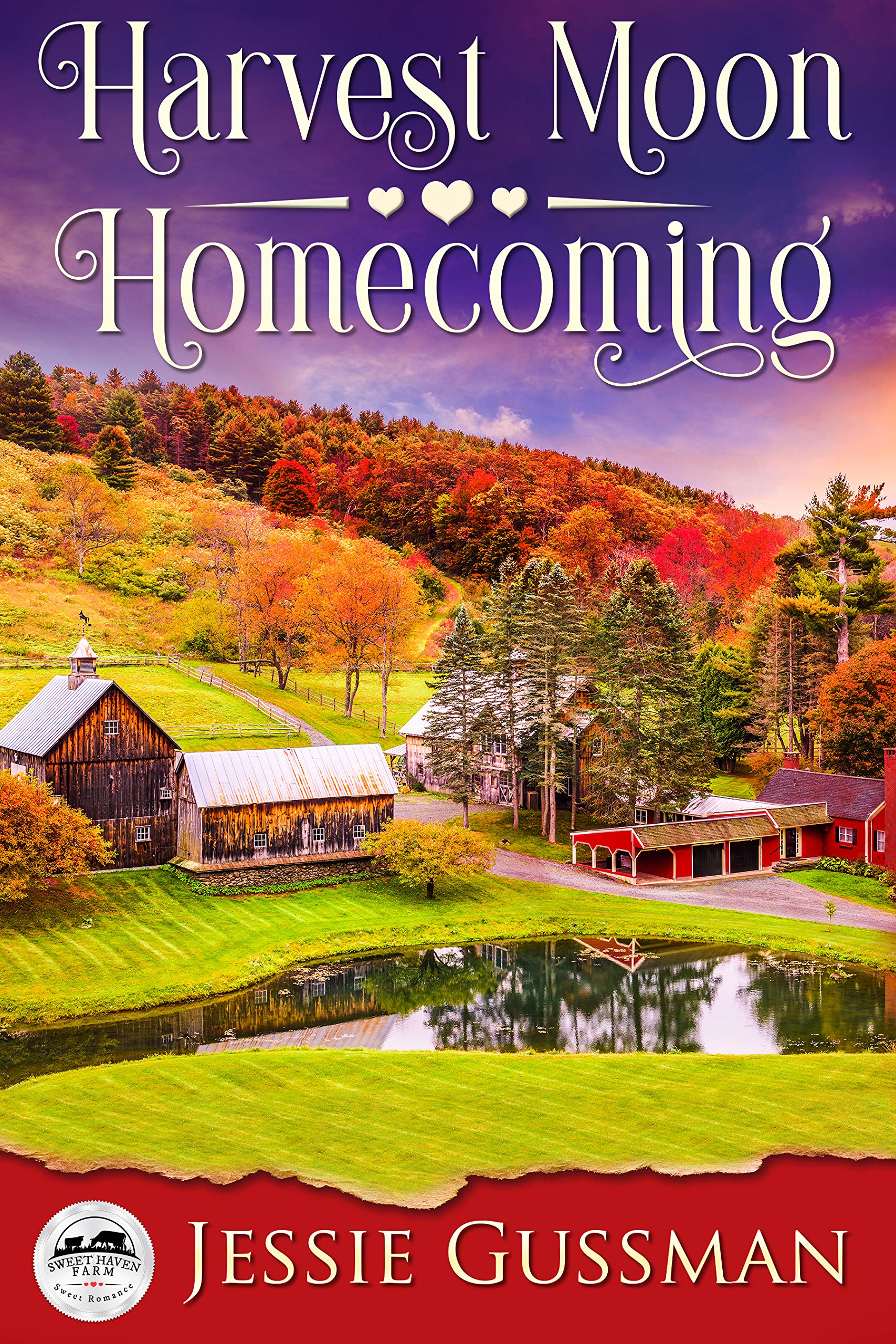 Harvest Moon Homecoming book cover