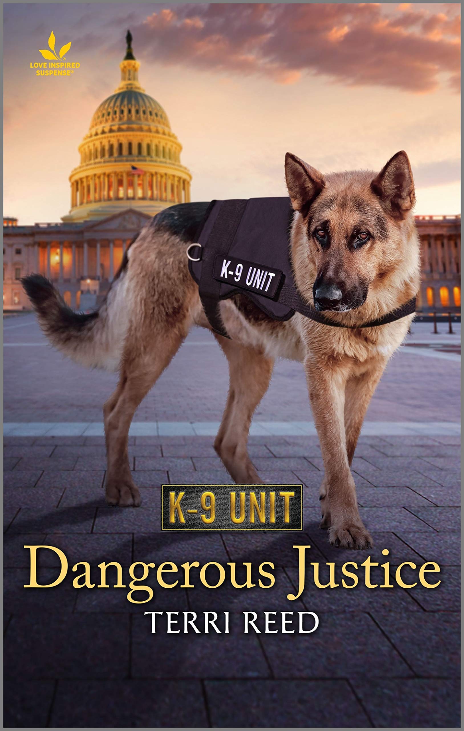 Dangerous Justice book cover