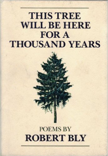 This Tree Will Be Here for a Thousand Years book cover