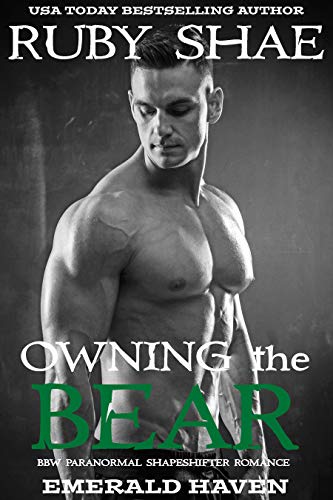 Owning the Bear book cover
