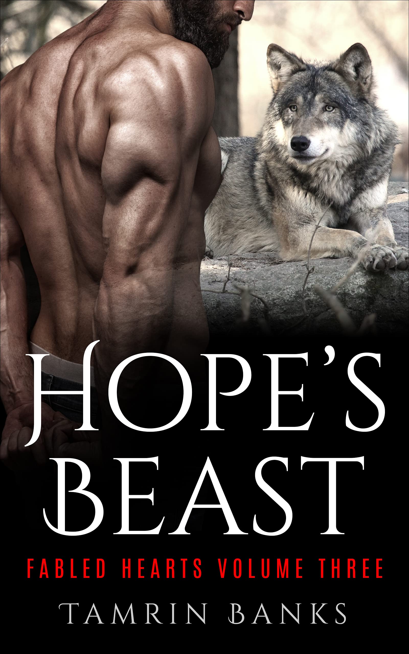Fabled Hearts book cover 3