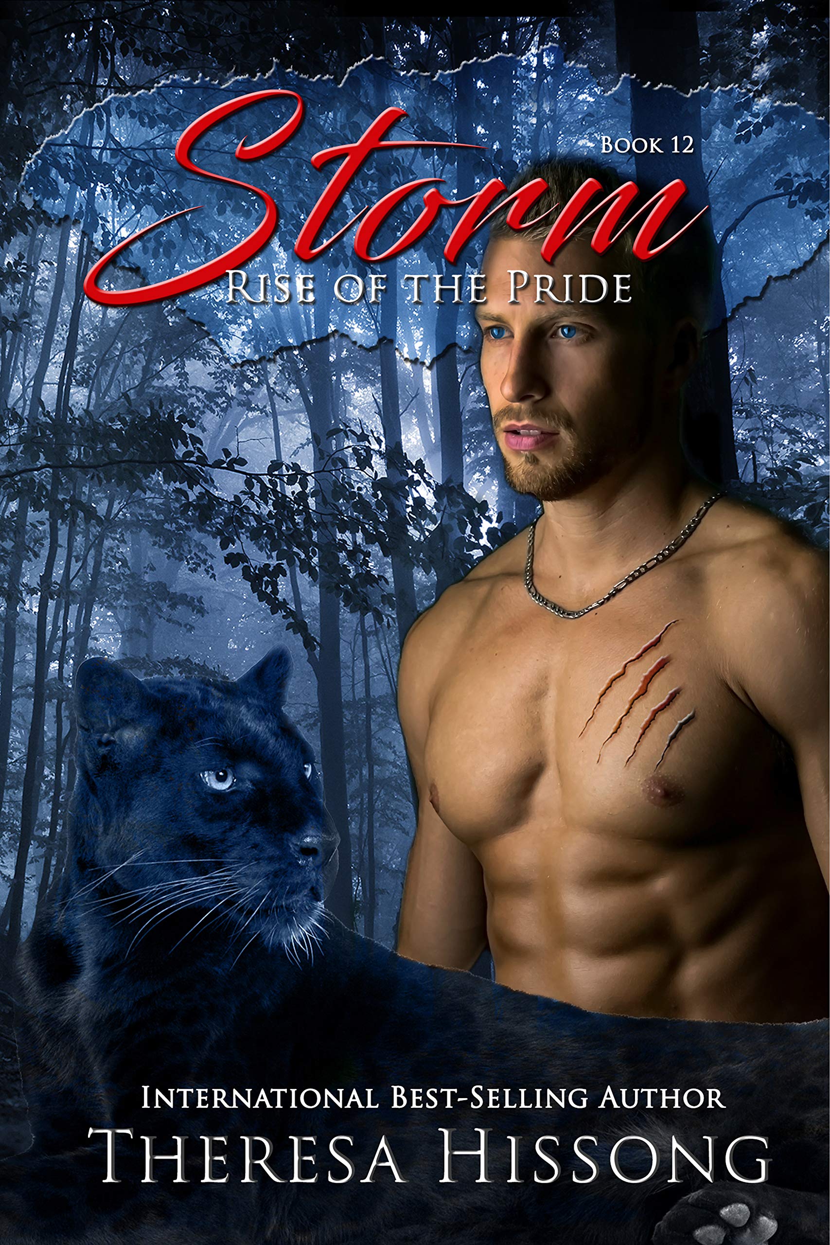 Storm book cover