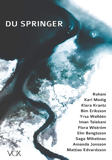 Du springer book cover
