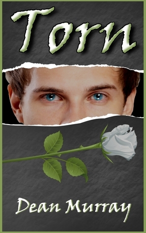Reflections book cover 2