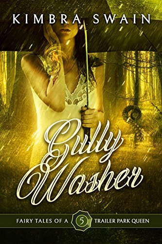 Gully Washer book cover