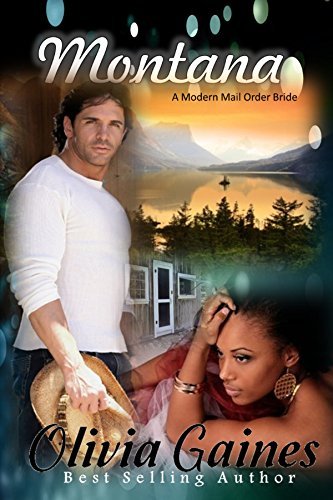 Modern Mail Order Bride book cover 2