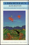 Brighter Sun book cover