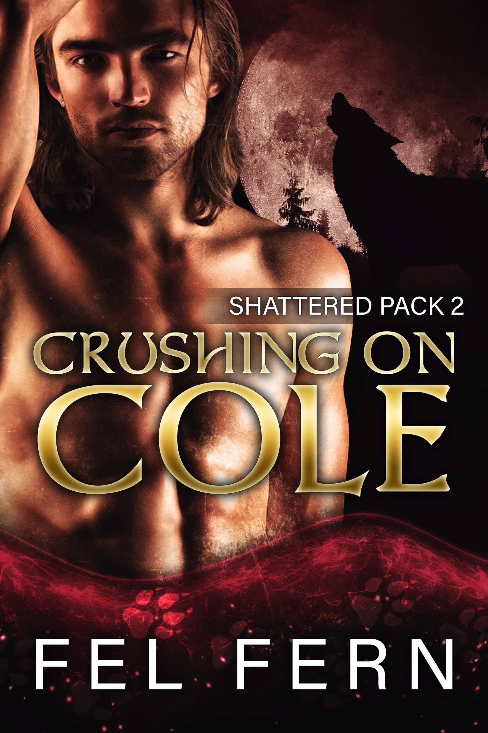 Shattered Pack book cover 2