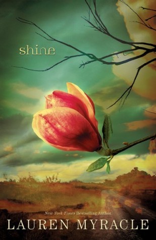 Shine book cover