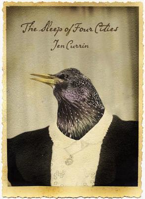 The Sleep of Four Cities book cover