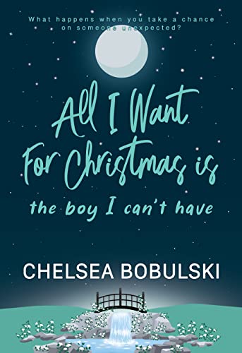 All I Want for Christmas book cover 3