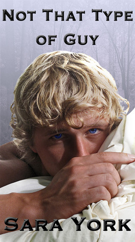 Not That Type of Guy book cover