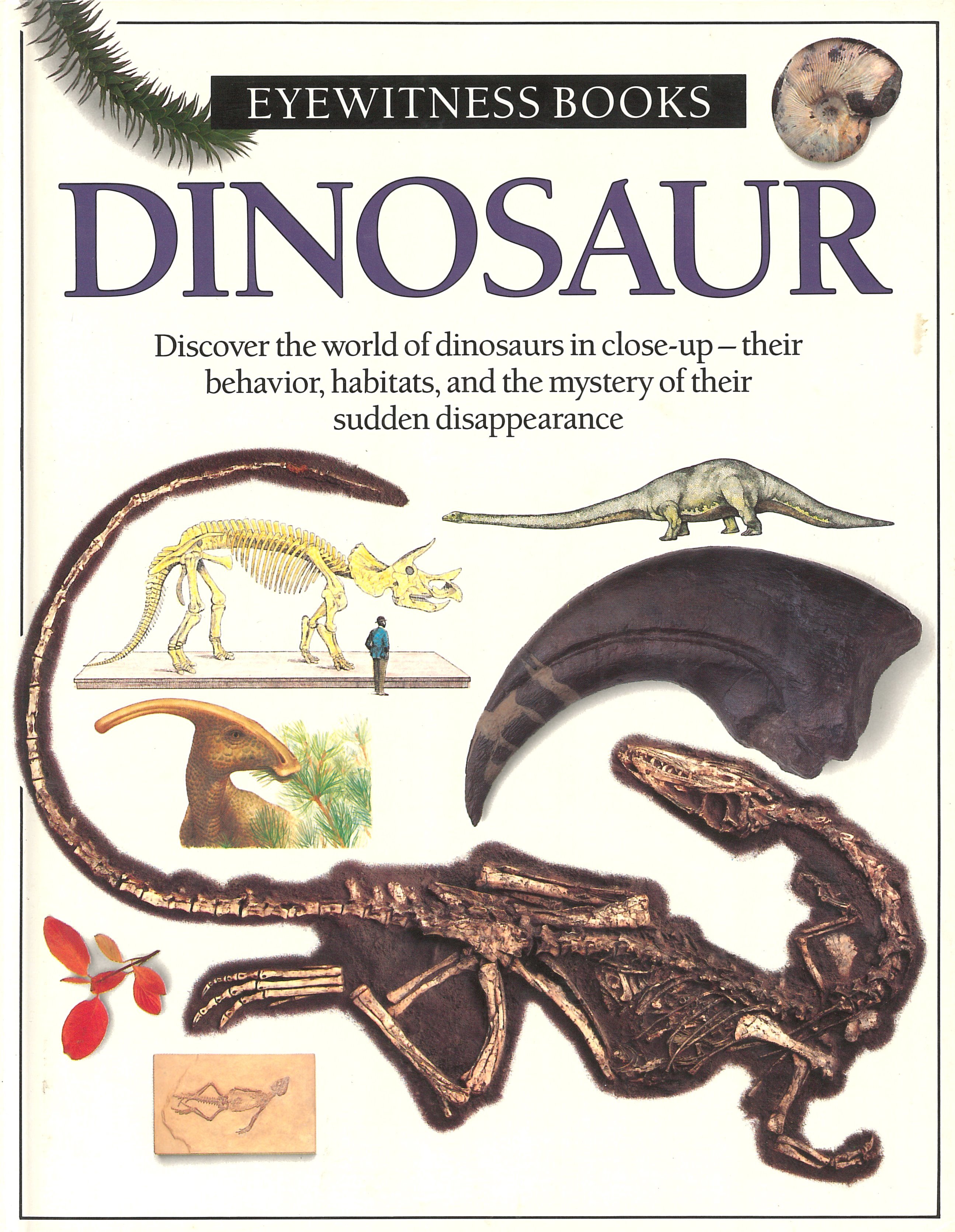 Dinosaur Eyewitness book cover