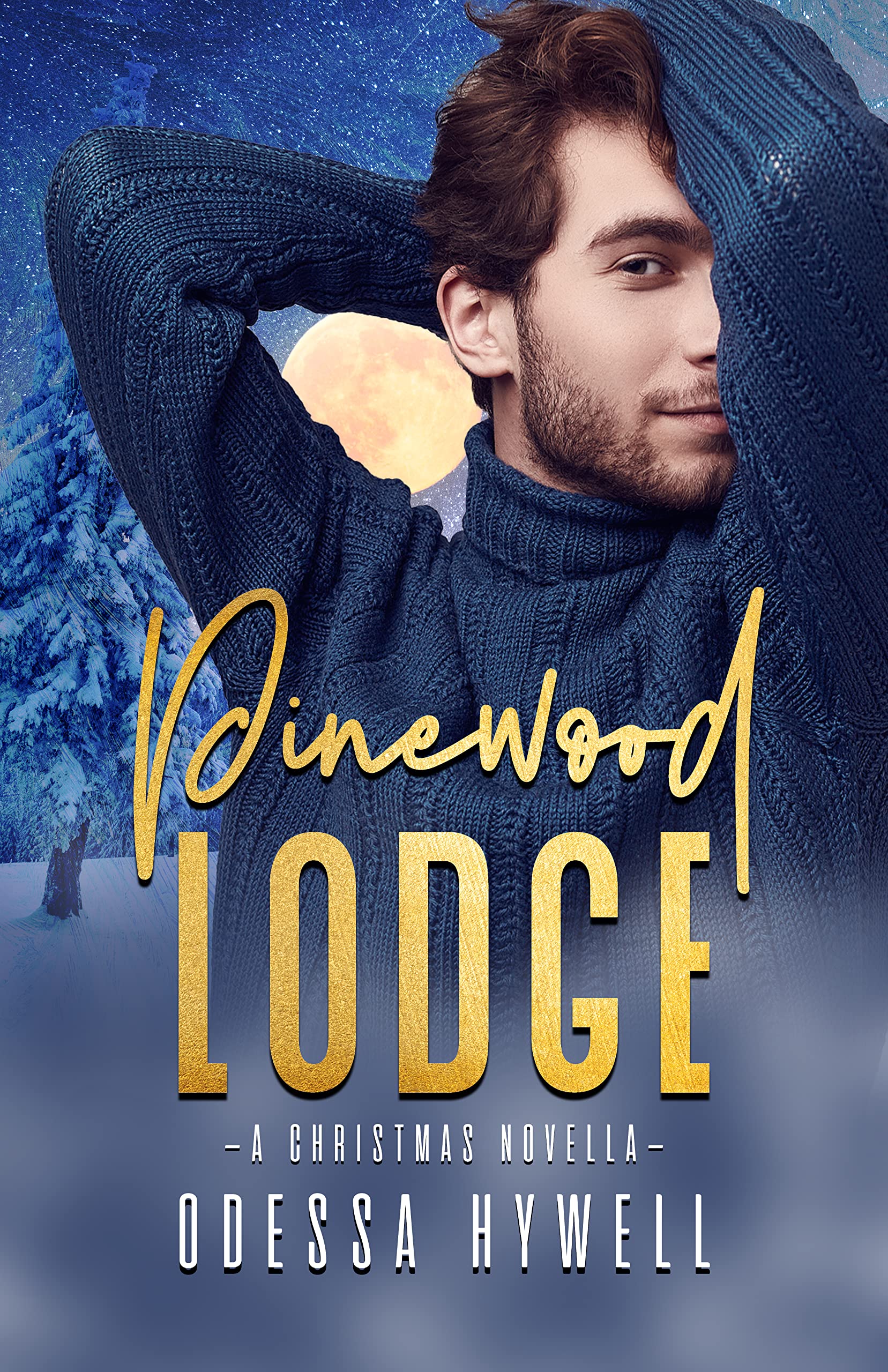 Pinewood Lodge book cover