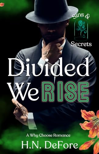 Divided We Rise book cover