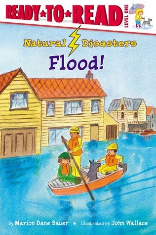 Flood! book cover