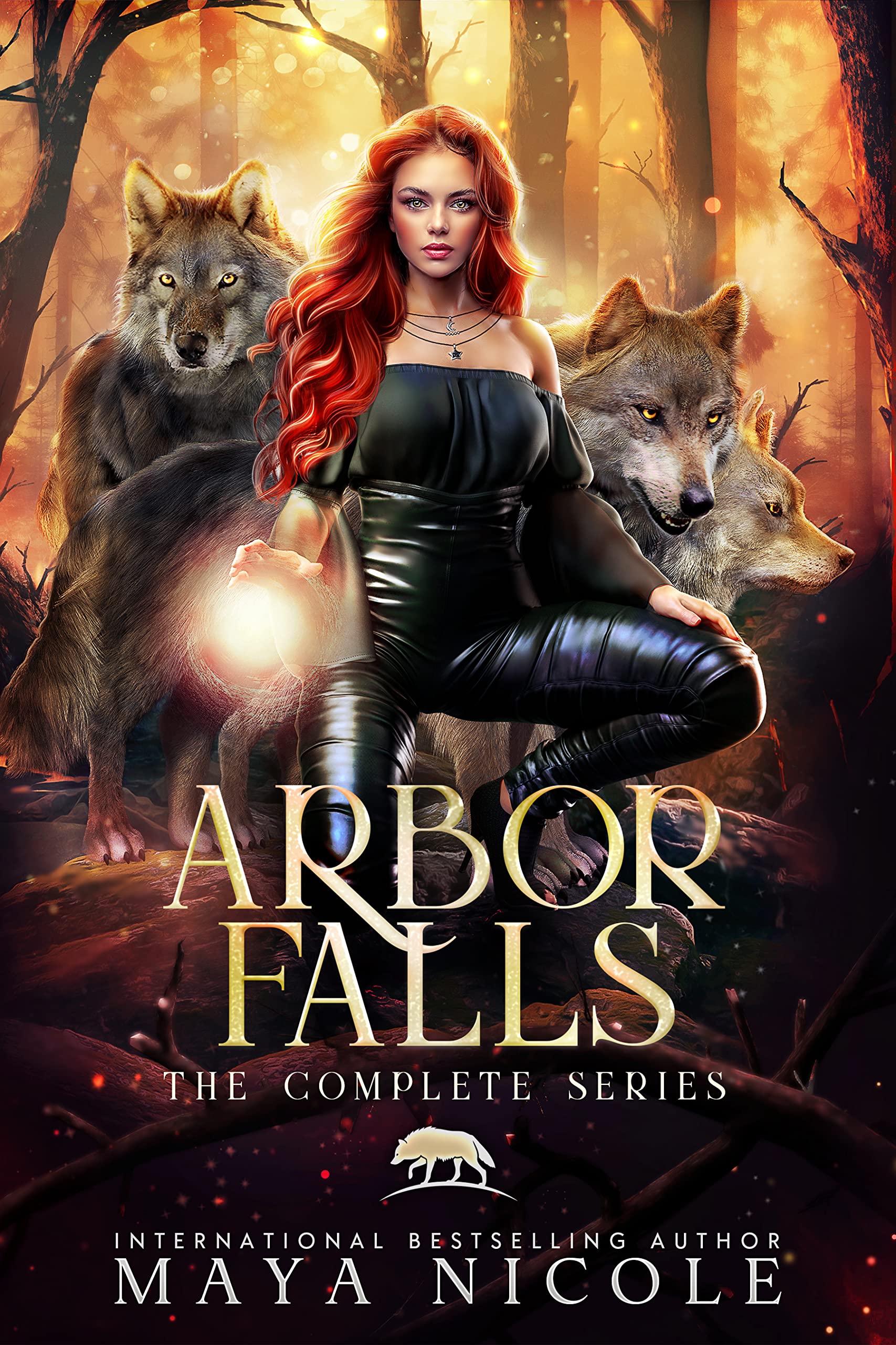 Arbor Falls book cover