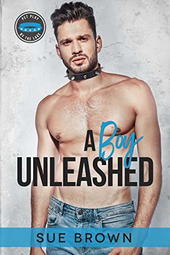 A Boy Unleashed book cover