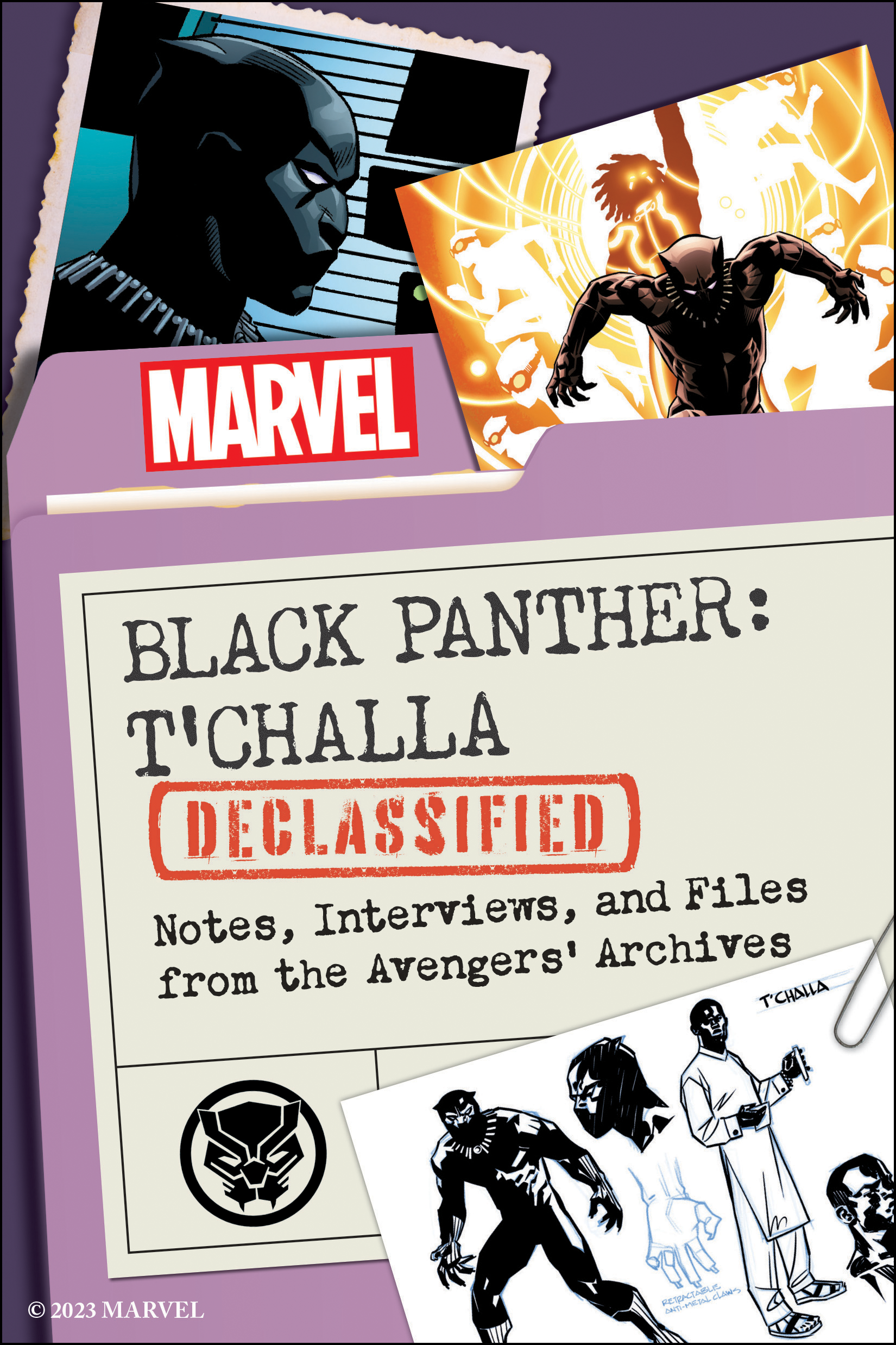 Black Panther book cover