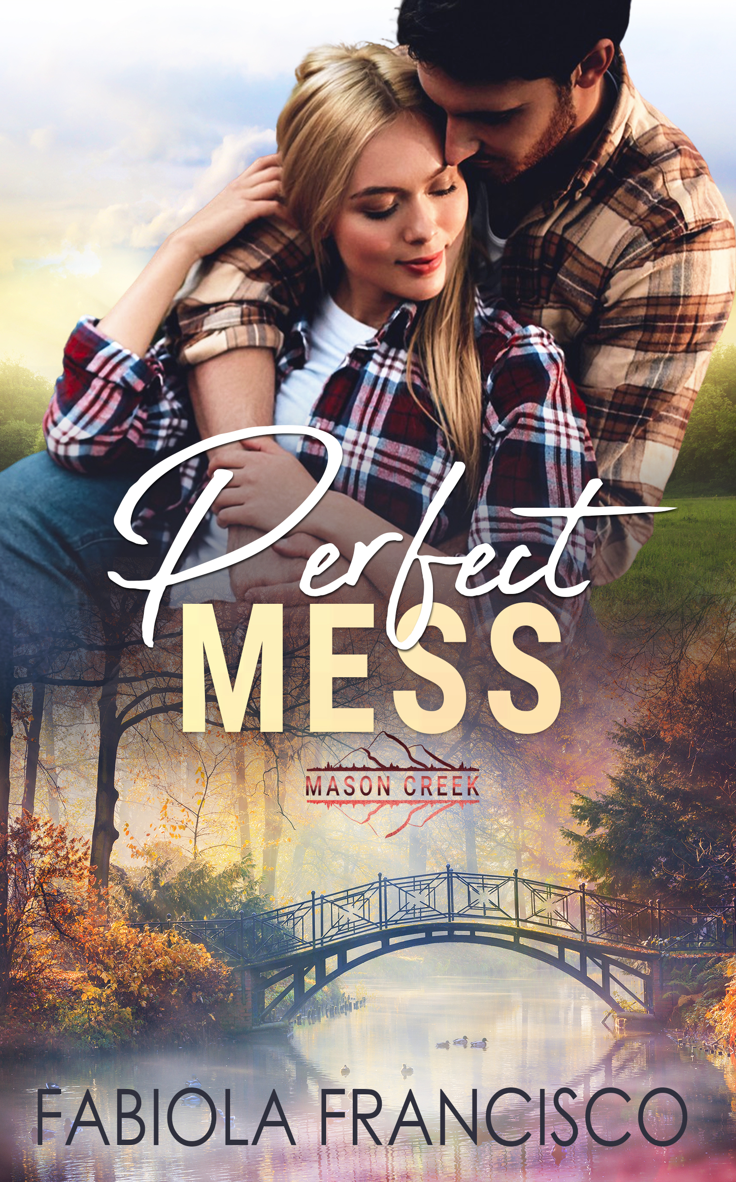 Perfect Mess book cover