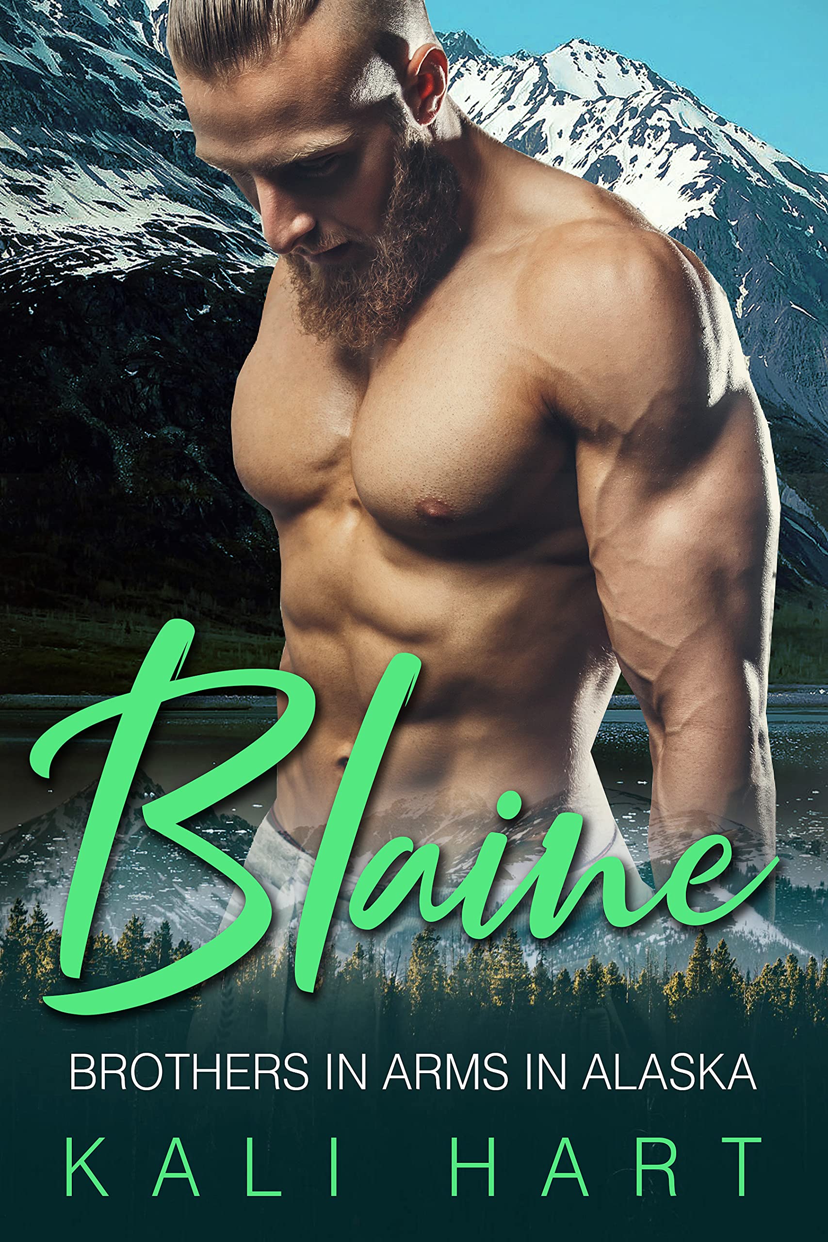 Brothers in Arms in Alaska book cover 2