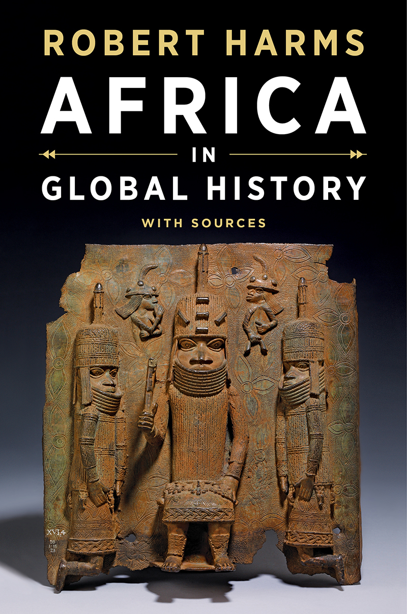 Africa in Global History with Sources book cover