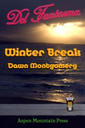 Winter Break book cover